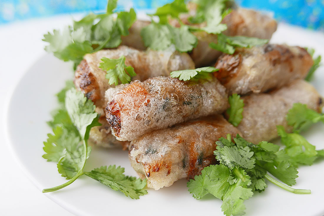 Vietnam fried spring roll