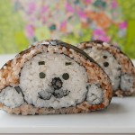 Creative Sushi Roll – Seal